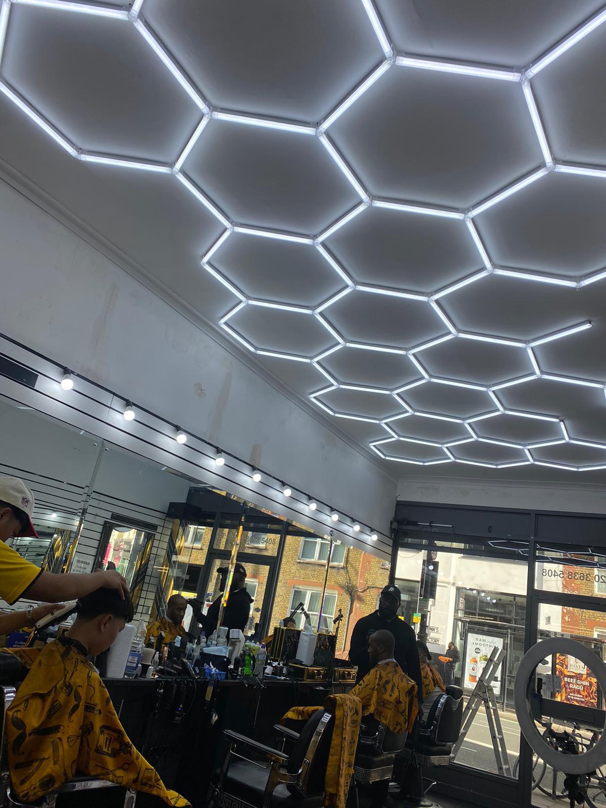 Hexagon Lighting 23 Grid System
